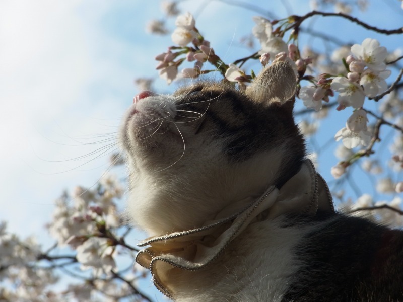 上野公園