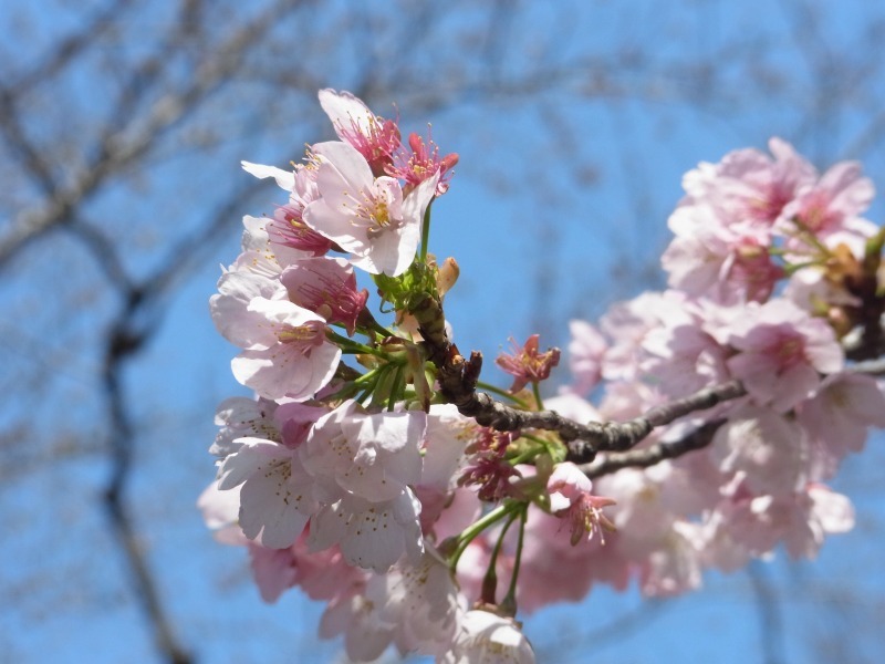 上野公園