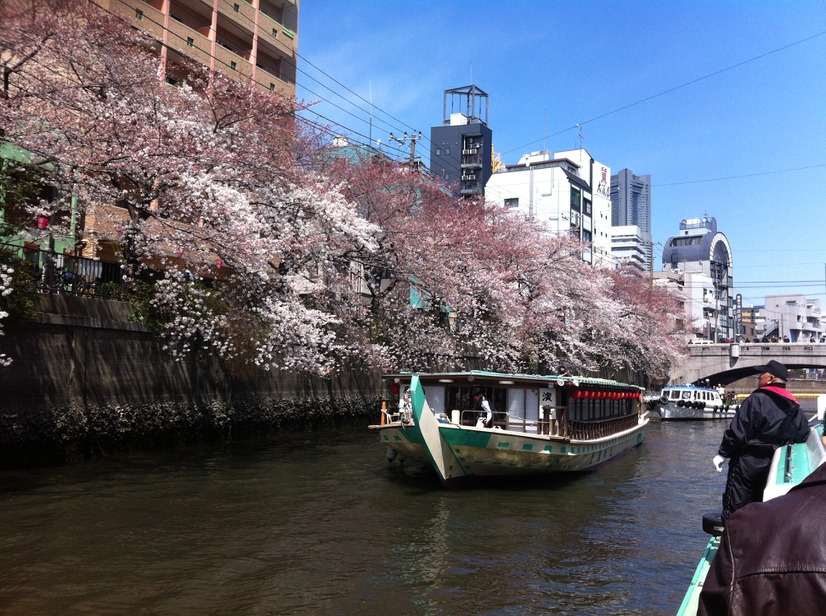 横浜市の大岡川