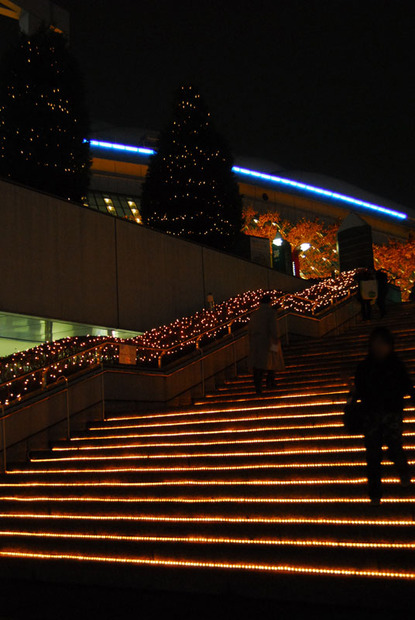 今週はクリスマス企画で行こう、となりました。当方も若い女子。でも、クリスマスの朝の、燃えたぎるような熱情が消え失せた身としては、やや盛り上がりを欠けてます。こんなではいけない！クリスマス一色の街に飛び出して感化されてこよう！