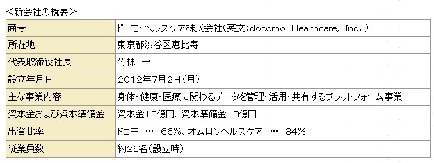 新会社の概要