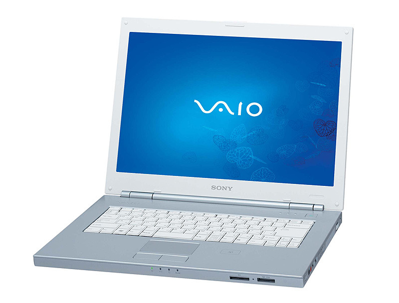 VAIO type N