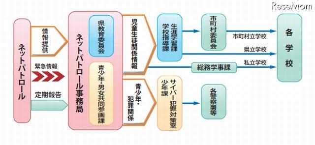 学校ネットパトロールの流れ（和歌山県の例）