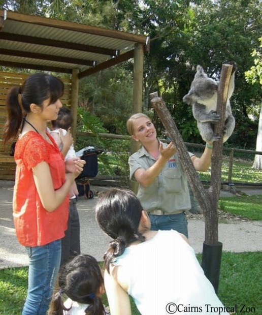 ケアンズの動物園・トロピカルズー