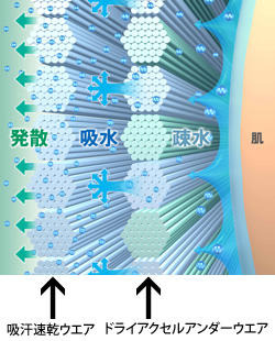 ドライアクセル構造図