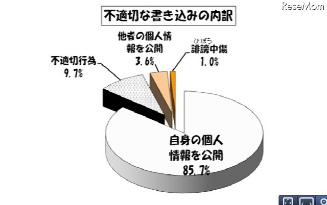 不適切な書込みの内訳