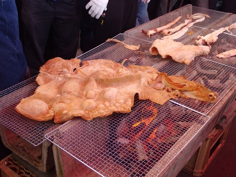 ダイオウイカ試食会