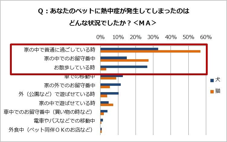 ペットに熱中症が発生した状況