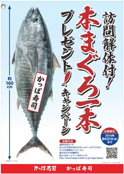 かっぱ寿司、本マグロ1本まるごと当たるキャンペーン