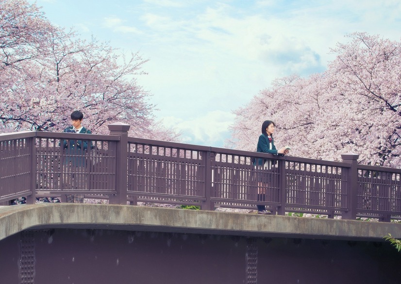 浜辺美波・北村匠海・小栗旬・北川景子、全員涙する！　映画『君の膵臓を食べたい』予告映像公開