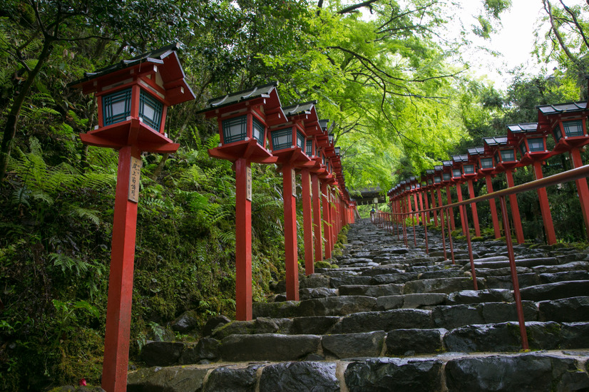 貴船神社も新緑のライトアップを行う