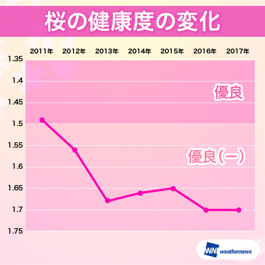 日本の桜が危ない？！健康度は昨年に続き過去最悪を継続