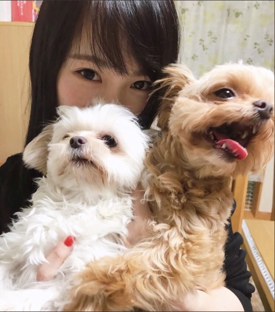 川栄李奈 愛犬との写真がかわいすぎると話題 犬になりたい の声も 2枚目の写真 画像 Rbb Today