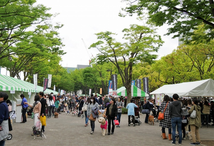 【ワンコとお出かけ Vol.9】「代々木公園わんわんカーニバル2018」にGO！ ワンコ目線で歩いてみた