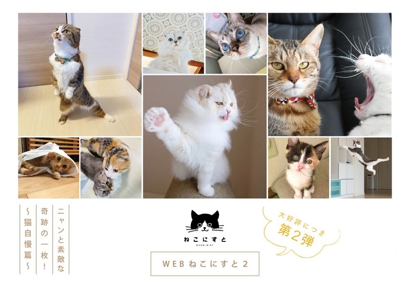 WEBねこにすと第2弾