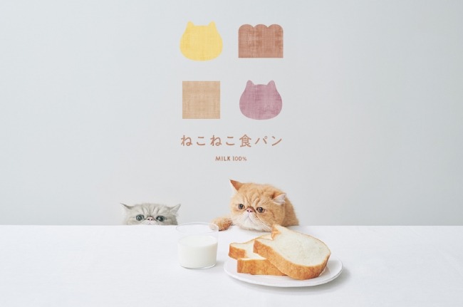 東京ねこねこ、東京駅に期間限定オープン！限定商品「ねこねこジャムパン」発売中