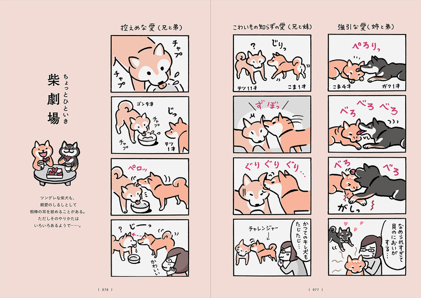 『柴犬のトリセツ』（西東社）