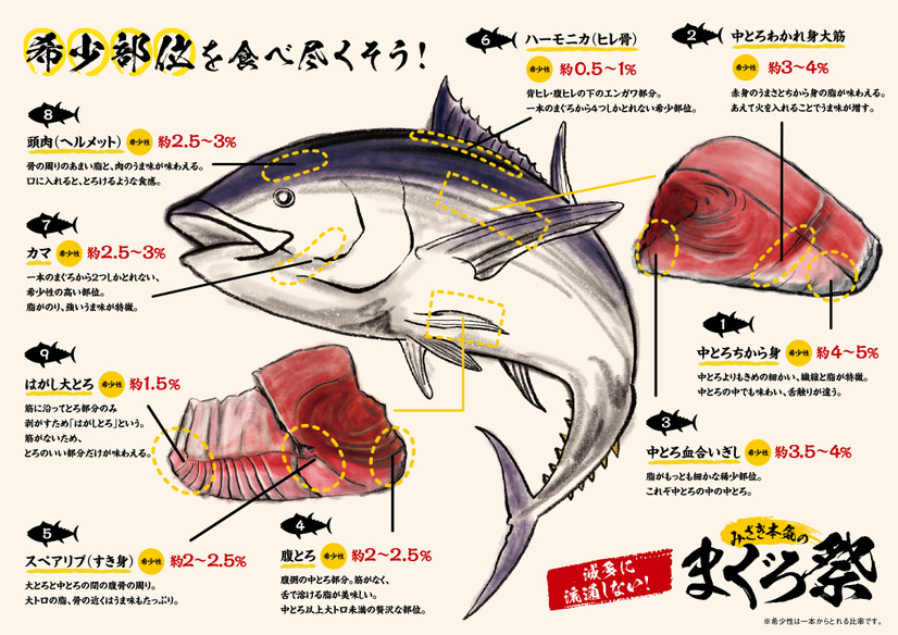 「海鮮三崎港」が「回転寿司みさき」にリブランディング！「極旨まぐろ」など新名物メニューも登場