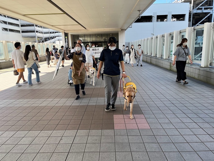 補助犬の認知向上目指す！イオンモールで歩行デモンストレーション