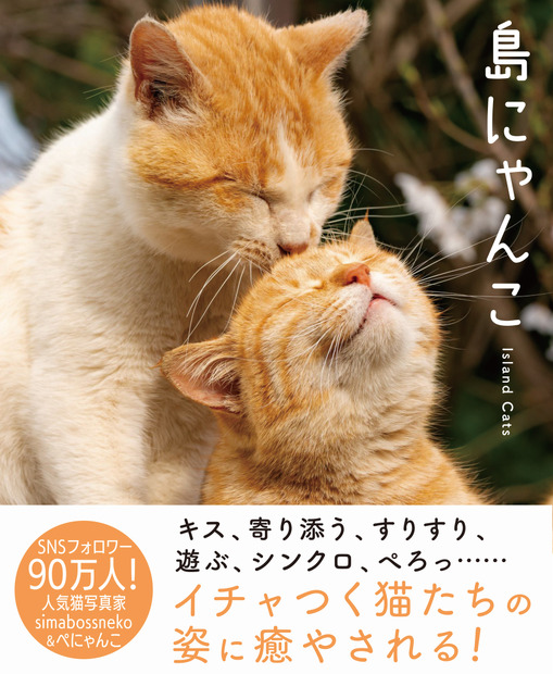 SNSフォロワー計90万人の猫写真家夫妻が撮るフォトブック『島にゃんこ』2月22日発売