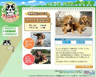 パワードコム、かわいい犬の映像満載の「Powerbroadわんチャンネル！」