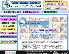 あなたの愛犬がアイドル犬に!! Powerbroadがワンちゃんムービーコンクール開催