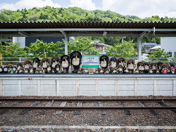 地酒電車 甲賀版