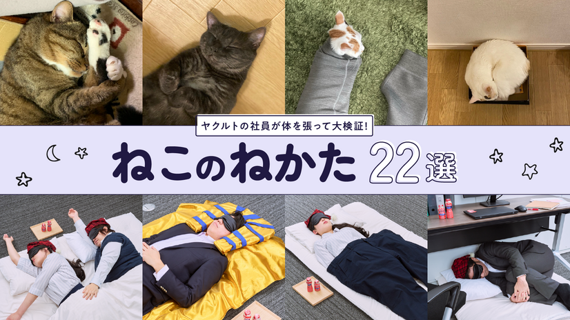 「『ねこのねかた』22選」