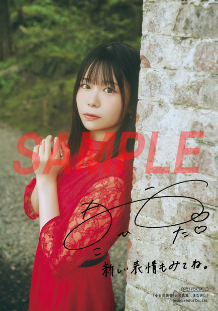 『小日向美香1st写真集 まなざし』アニメイト特典複製サイン&コメント入りブロマイドA(2種のうちランダムでお渡し)