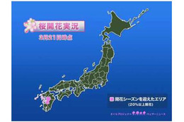 “春まだ遠し”桜の開花遅れ気味、上野公園も1週間遅れの30日開花予想 画像