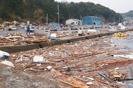 【地震】被災地の証言…田代島 電柱の一番上で津波に耐えた 画像