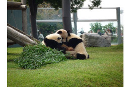 行ってよかった動物園＆水族館ランキング、王者「旭山動物園」が2位降格！1位は!? 画像