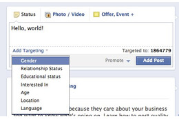 Facebookページ、ターゲットを詳細に絞り込んだ投稿が可能に 画像