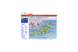 【特集】東京で3/20桜が開花〜平年より8日早く 画像