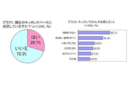 7割の女性がキッチンスペースに不満…キッチンで一番邪魔なものとは？ 画像