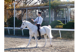 馬に親しむ日　1月20日 画像