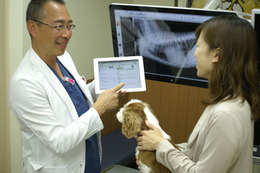 富士通とアニコム、動物病院向けにクラウドサービスを提供……ペット関連事業で協業 画像
