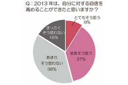 2013年「新年にかかげていた目標」、実現できた女性は半数未満 画像