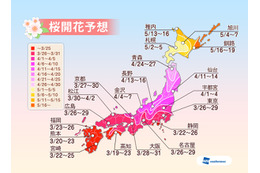 2014年の桜開花、高知県が一番乗り……平年より4日早く 画像