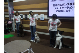 【Interpets 2014 Vol.29（動画）】踊りながらしつけの基礎を！トヨタ、Dog Danceを披露 画像