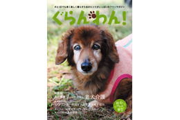 【Interpets 2015 Vol.4】愛犬が表紙に登場するかも！「ぐらんわん」がコンテスト 画像