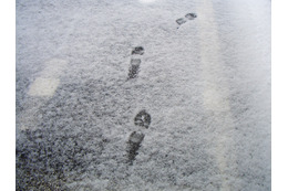 東京で初雪を観測！ 画像