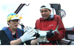 謎すぎるさかなクンのプライベート！3日密着で魚と暮らす自宅にも 画像