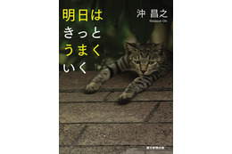 自由気ままな猫たちが癒してくれる...猫写真家・沖昌之の写真集発売 画像