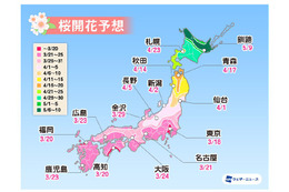 桜開花トップは東京で3月18日予想！全国的に平年より早い傾向......ウェザーニューズ「第二回桜開花予想」 画像