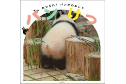 1冊まるごとパンダのおしり写真ばかり！写真集『パンけつ』発売 画像