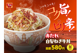 すき家、「赤だれ白髪ねぎ牛丼」新発売！シャキシャキ食感＆コク旨ピリ辛だれ 画像