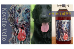犬好き必見！岡山ワインバレーが犬ラベルの新商品「Novello-Vello」を限定販売 画像
