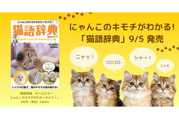 「ニャッ」＝「オッス！」！？Gakkenが新装版『猫語辞典』を発売 画像