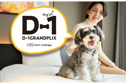 愛犬の写真でホテルスイート当たる！？hotel anddoggy京都二条が「D-1グランプリ」開催 画像